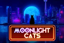 Moonlight Cats